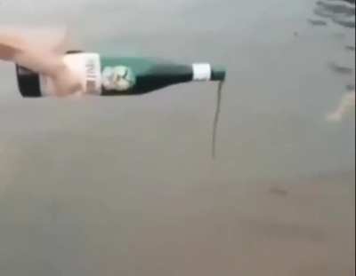 Me n the Bois: