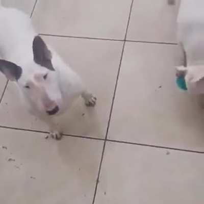 Maybe maybe maybe