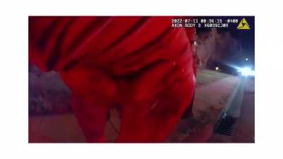 25 yo pizza delivery man runs into burning house, saves four children who tell him another might be in the house. He goes back in, finds the girl, jumps out a window with her, and carries her to a cop who captures the moment on his bodycam