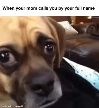 My heart dropped