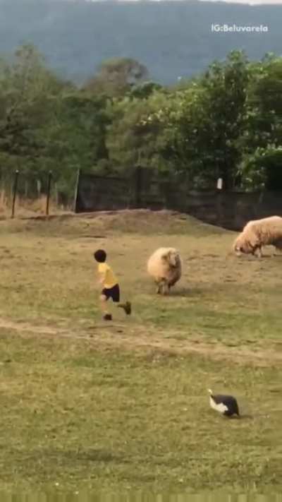 Charging Ram