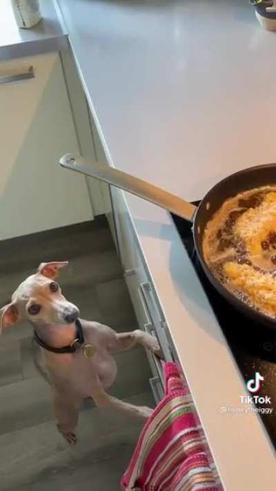 Professional food taster ?