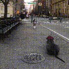 Dog sees best friend after a week