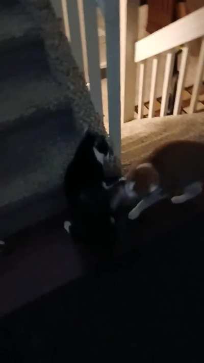 Surprise taps