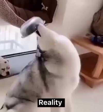 Dadadadadadadada