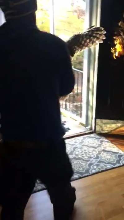 Heard a scratching in the chimney