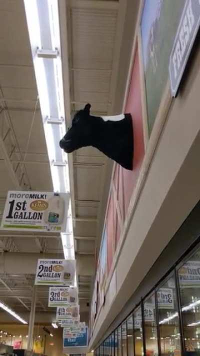 Local grocery store has got jokes. There's a button you push that makes the cow go moo, this one....