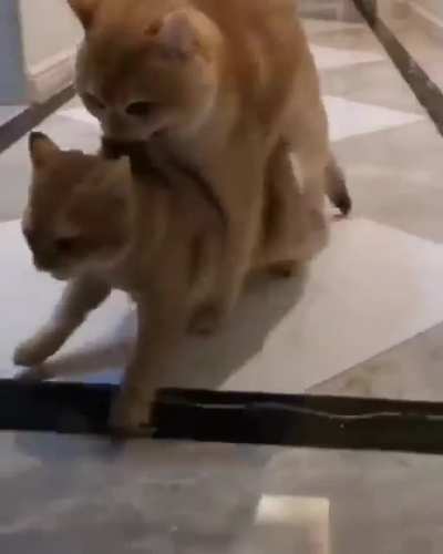 "You're in big trouble mister"
