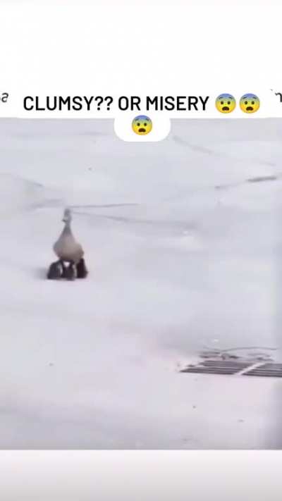 Damn ?