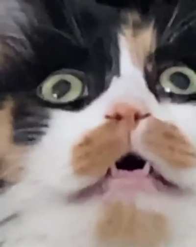 saw something interesting