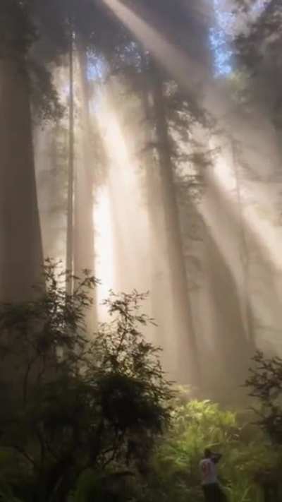 ? Tyndall effect