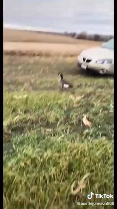 the goose really just said:?‍♂️⚔️