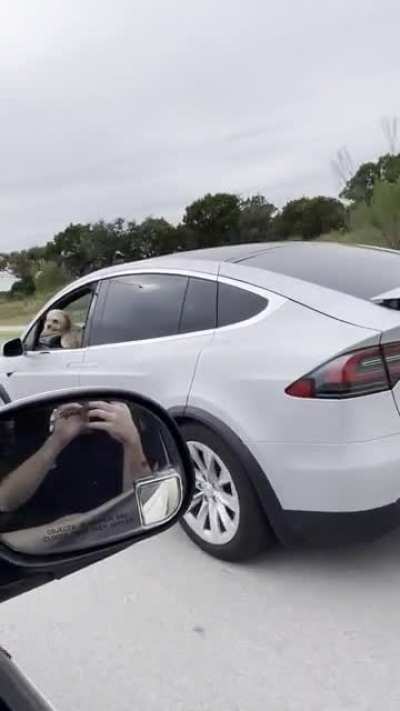 just saw this dude cruising down the road by himself in a Tesla