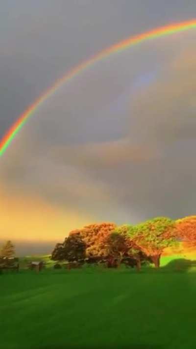 ? There’s a special place for those who dare to dream.