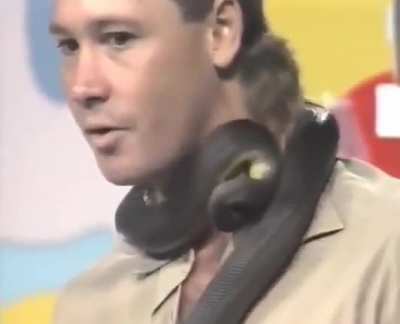 Steve Irwin casually reacts to being bitten by a snake live on Australian TV in 1991.