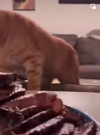 And the Redhead thinks: my God, is this really all for me