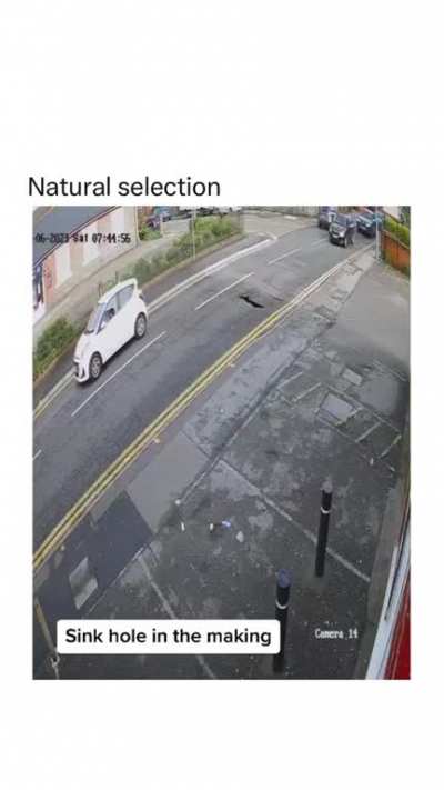 WSP