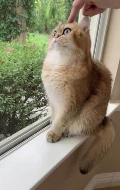 I am the best at being U N B O T H E R E D ?