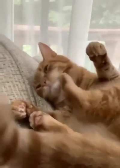 Quit hitting yourself
