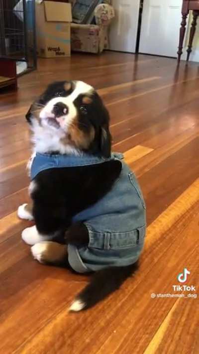 So cute