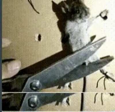 ratatouille unseen ending