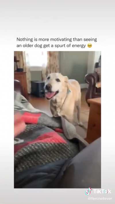 Come on Maddie!