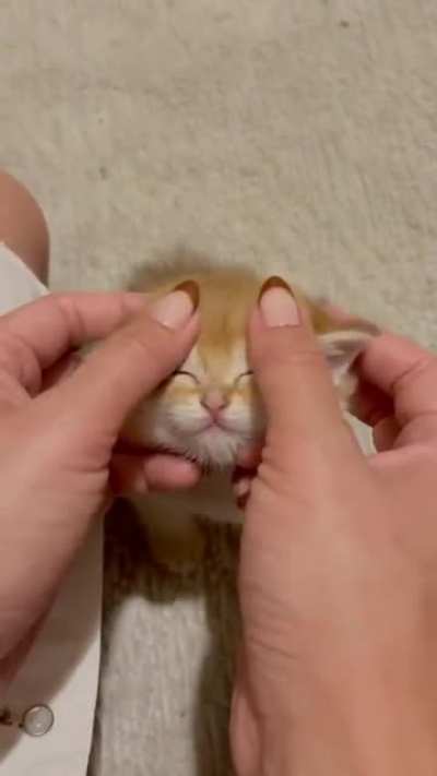 Right there, you’ve hit the spot