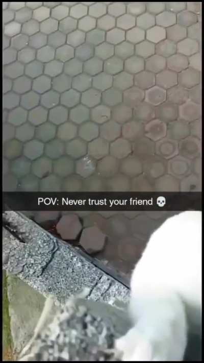 That betrayal?