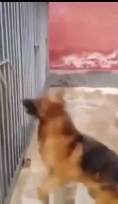 wait for the end!!!!