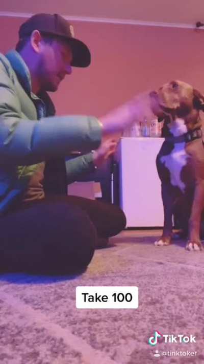 My pup is so patient. I had fun with this one. ?