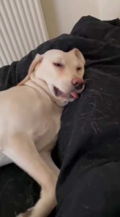 Sleeping beauty