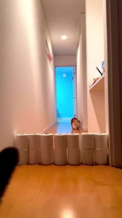 He tried !..