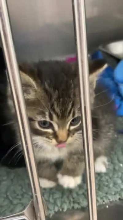 I want OUT!