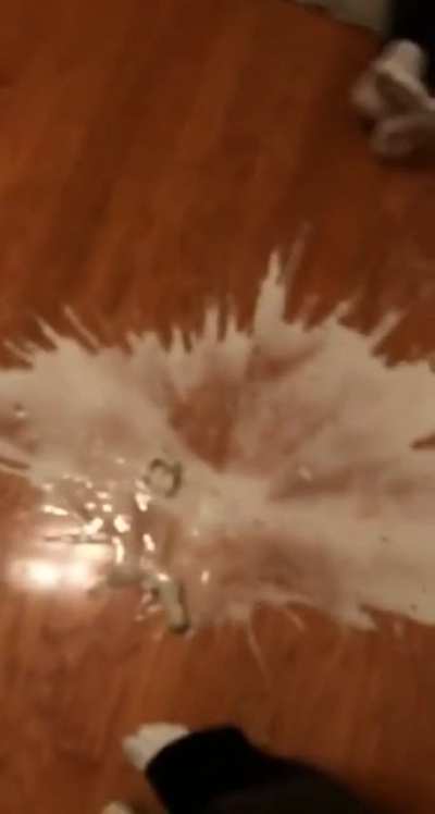 Tries to use ceiling fan as bottle opener, gets instant reward