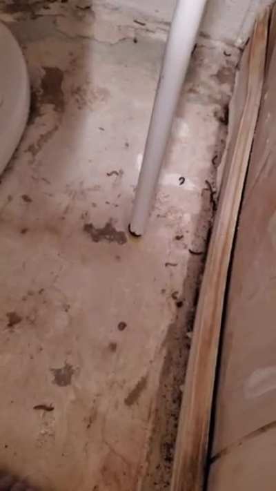 Cursed AirBnB part 2 unfinished bathroom edition.