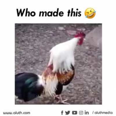 Pro level editing??