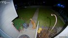 My pups boyfriend lives next door, and tonight at 10:55 he came for a date and to give her a present. My heart is so full right now ❤️ and now the ball goes everywhere with her