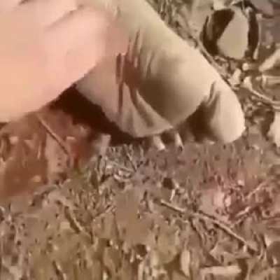 the first step to find out if someone's dead or alive