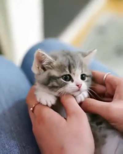That is so adorable