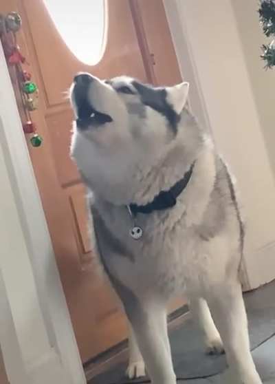 Let me sing to you the song of my people