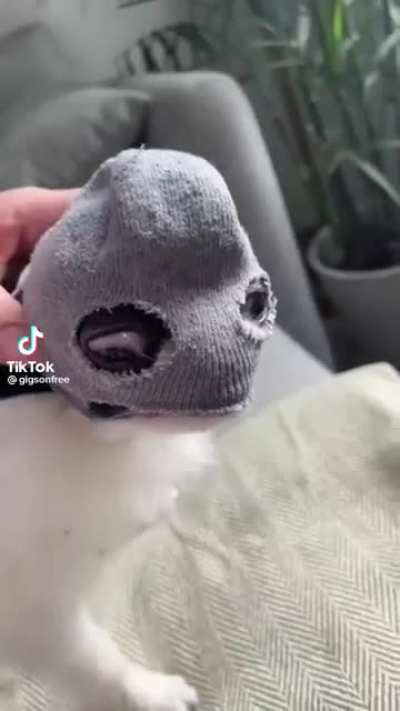 Poor guy looks like he's suffering ?