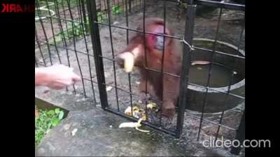 2021 reminder that this video exists. You're welcome. (sound on)
