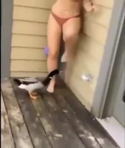 Sick’em boy