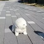 Holy, this wind, I'm about to fly, my friends ?