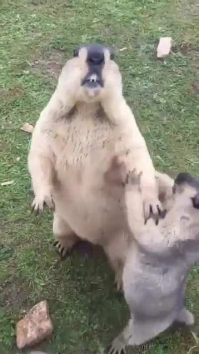 No, ME first!