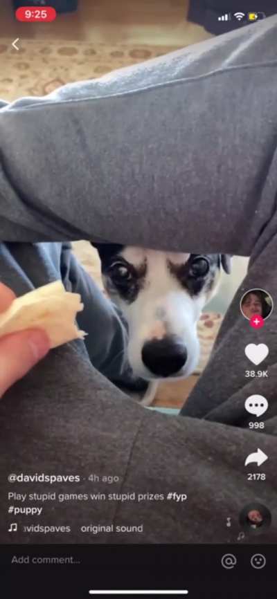 Guy teases dog with food