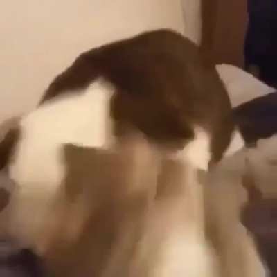 Monch