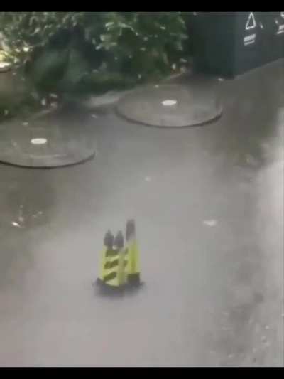 Fantasia IRL?