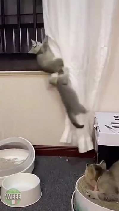 so...what you doing later, me?"