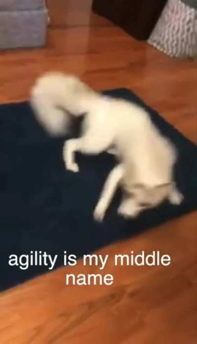 zoom?